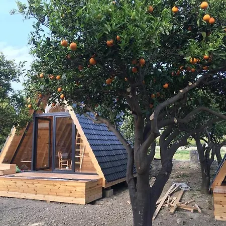 Bed & Breakfast Limon Datca Datca